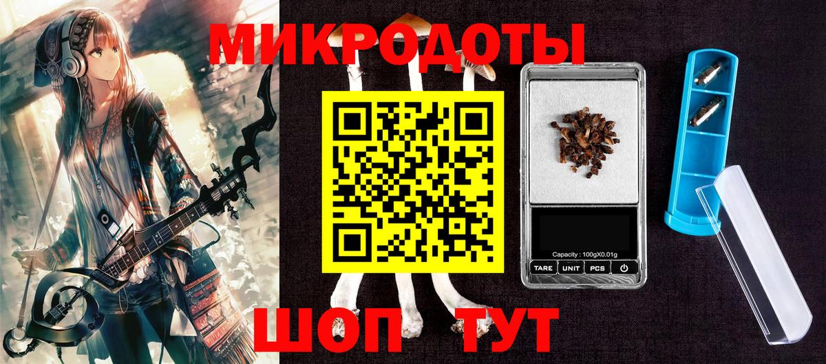 Галлюциногенные грибы Psilocybe  Вход с VPN  Гай 